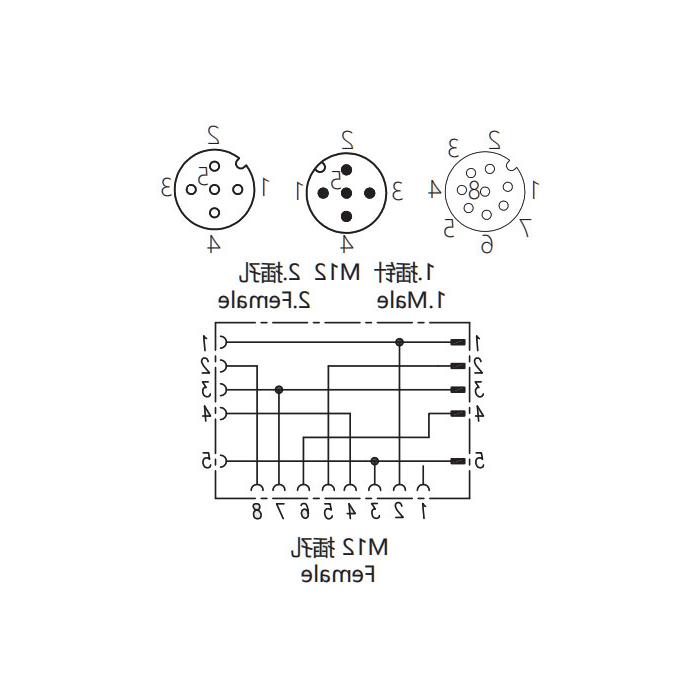 M12 8Pin female/M12 5Pin male+M12 5Pin female、Y-connector、648551