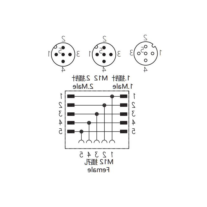 M12 5Pin female/2M12 5Pin male、Y-connector、644456